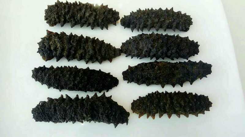 沒(méi)有光鮮艷麗的外表，僅靠?jì)仍诹钊斯文肯嗫矗?></a>
											</div>
										<div   id=