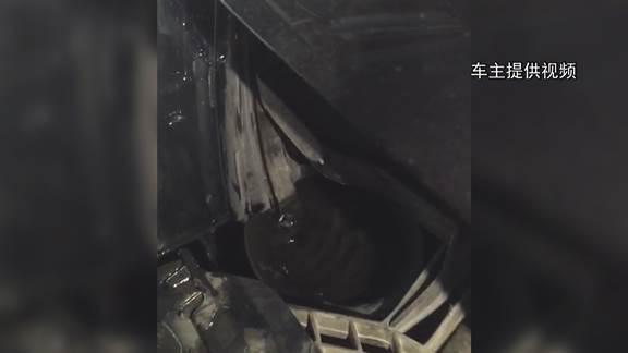 315打假晚會(huì )
