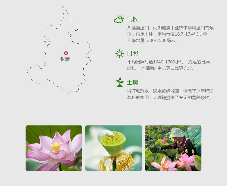 珍其道養生湯料